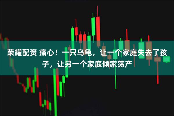 荣耀配资 痛心！一只乌龟，让一个家庭失去了孩子，让另一个家庭倾家荡产