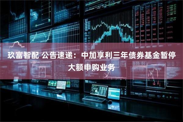 玖富智配 公告速递：中加享利三年债券基金暂停大额申购业务