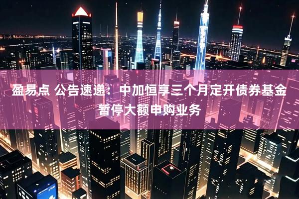 盈易点 公告速递：中加恒享三个月定开债券基金暂停大额申购业务