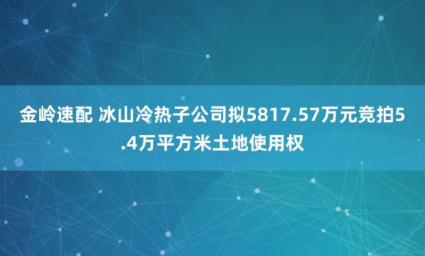 金岭速配 冰山冷热子公司拟5817.57万元竞拍5.4万平方米土地使用权