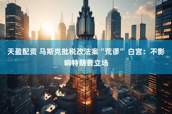 天盈配资 马斯克批税改法案“荒谬” 白宫：不影响特朗普立场