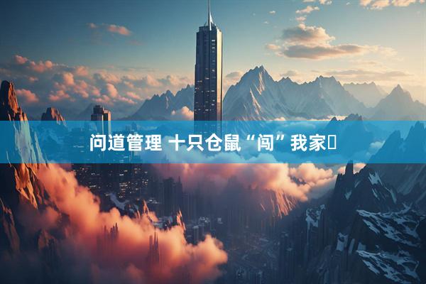 问道管理 十只仓鼠“闯”我家​