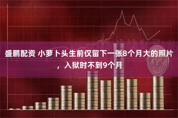 盛鹏配资 小萝卜头生前仅留下一张8个月大的照片，入狱时不到9个月