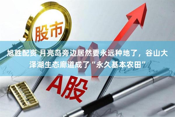 旭胜配资 月亮岛旁边居然要永远种地了，谷山大泽湖生态廊道成了“永久基本农田”